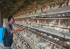 कोरोना के न्यू वेरियंट की दहशत के बाद  Bird Flu की पुष्टि, इस जिले में एक हफ्ते तक मीट पर बैन, अधिकारियों को मिले निर्देश