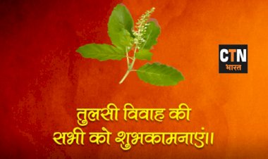 क्या है तुलसी की पूजा और विवाह की विधि, जानें पूजा मंत्र