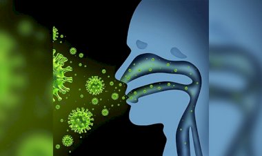 मप्र में कोरोना से अब तक 11 की मौत, इंदौर में हालत बिगड़कर 115 पहुंची 