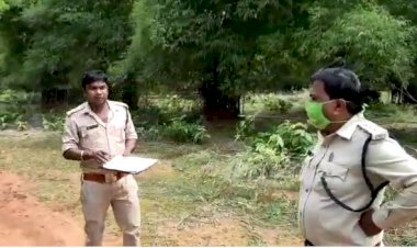 अवैध बांस कटाई पर आमने सामने हुए बीट गार्ड और रेंजर...... बीट गार्ड ने रेंजर को कहा खड़े-खड़े वर्दी उतरवा दूंगा - Video Viral
