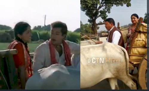 निगम महापौर पति संग बैलगाड़ी में घूमने का वीडियो वाइरल