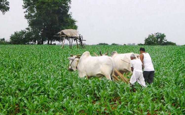 प्रदेश की शिवराज सरकार द्वारा किसानों को एक और बड़ी राहत.....