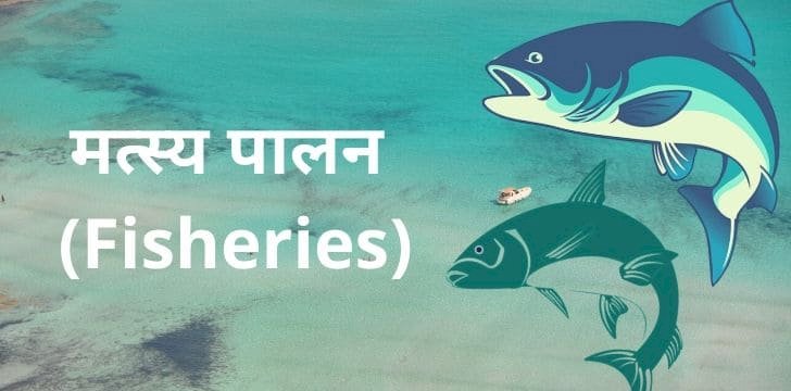 मत्स्यपालन योजना के नाम पर निजी कपंनी द्वारा कृषकों के साथ फर्जीवाड़ा किये जाने का अंदेशा, सहायक संचालक ने कलेक्टर को लिखा पत्र