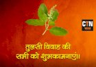 क्या है तुलसी की पूजा और विवाह की विधि, जानें पूजा मंत्र