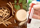 कोरोना और आयुर्वेद: आखिर क्या है आयुर्वेदिक दृष्टिकोण इस महामारी में ? देखे पूरी खबर 