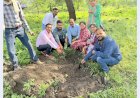 अभियंता दिवस पर नगर निगम के इंजीनियरों का अभिनव प्रयास: इमलीखेड़ा फायर स्टेशन परिसर में 'अमृत हरित महाअभियान' व 'एक पेड़ माँ के नाम' के तहत हुआ वृहद पौधरोपण