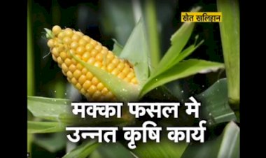 कृषक और विपणन समितियों के मध्य संवादात्मक समारोह का आयोजन