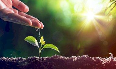 विश्व पर्यावरण दिवस के मौके अपने आस-पास लगाएं पेड़-पौधे और प्रकृति के बारे में फैलाएं जागरूकता