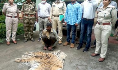 बाघ की खाल के साथ एक धराया, पूछताछ जारी