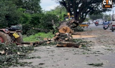 इन पेड़ और पर्यावरण का हत्यारा कौन ? एक तरफ विकास, दूसरी तरफ प्रकृति को नुकसान, शहर कैसे बनेगा स्मार्ट.....?