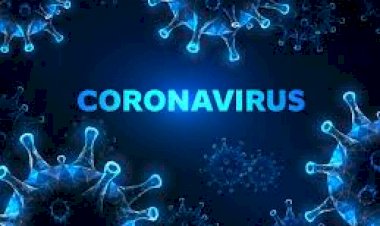 प्रदेश में कोरोना हुआ बेकाबू , 24 घंटे में 37 लोगों की मौत,  2347 नए संक्रमित