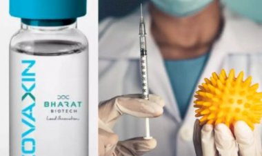 को-वैक्सीन का ट्रायल शुरू : पहला डोज भोपाल में निजी स्कूल के एक शिक्षक को दिया गया