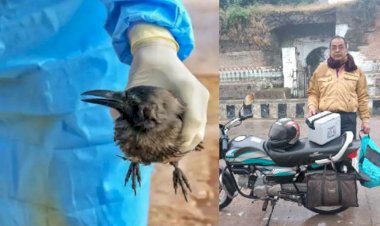 जज्बे को सलाम : मृत पक्षियों का सेम्पल भोपाल लैब पहुँचाने पिता-पुत्र ने 350 किमी किया बाईक से सफर