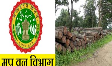 वन विभाग का माफियाओं के विरुद्ध अभियान - 69 आरोपियों को किया  गिरफ्तार