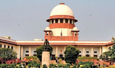 निकाय चुनाव में आरक्षण पर रोक के बाद सुप्रीम कोर्ट जाएगी सरकार, बताई ये वजह