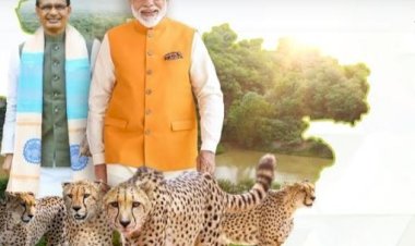 70 साल बाद भारत में विलुप्त वन्य-प्राणी चीता की पुनर्स्‍थापना