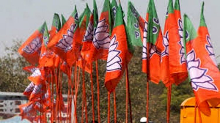 भाजपा छिंदवाड़ा नगर मंडल एक कार्यकारिणी घोषित महामंत्री बने दिनेश मालवी, मिडिया का प्रभार दुर्गेश नरोटे के जिम्मे