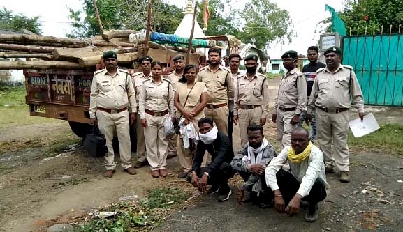 वन विभाग की बड़ी कार्यवाही : टैक्टर सहित अवैध सागौन जप्त