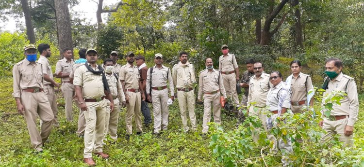 छत्तीसगढ़ और मध्यप्रदेश के वन अमला ने मिलकर किया 20 किलोमीटर पैदल गश्त...
