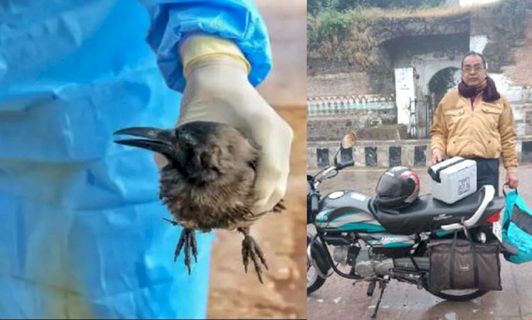 जज्बे को सलाम : मृत पक्षियों का सेम्पल भोपाल लैब पहुँचाने पिता-पुत्र ने 350 किमी किया बाईक से सफर