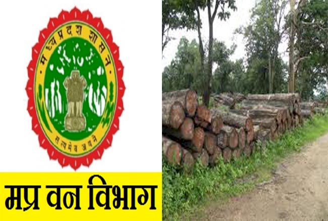 वन विभाग का माफियाओं के विरुद्ध अभियान - 69 आरोपियों को किया  गिरफ्तार