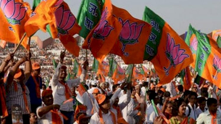 जनपद पंचायत छिंदवाड़ा के 59 में से 35 भाजपा समर्थित सरपंच प्रत्याशी हुए विजयी